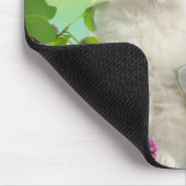 Tapis De Souris Cute Kittens (Coin)