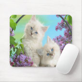 Tapis De Souris Cute Kittens (Avec souris)