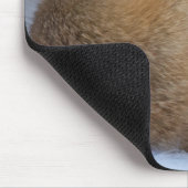 Tapis De Souris Cute Little Fox Curling Up Winter Photo (Coin)
