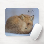 Tapis De Souris Cute Little Fox Curling Up Winter Photo (Avec souris)