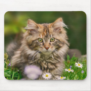 Tapis De Souris Cute Maine Cat Con Chat Cat en Pré Fleur Approvis