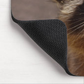 Tapis De Souris Cute Racoon (Coin)