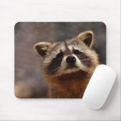 Tapis De Souris Cute Racoon (Avec souris)