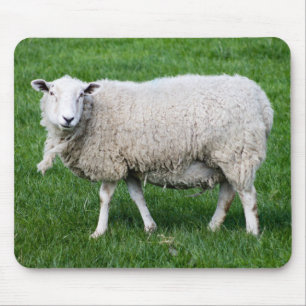 Tapis De Souris Cute Sheep