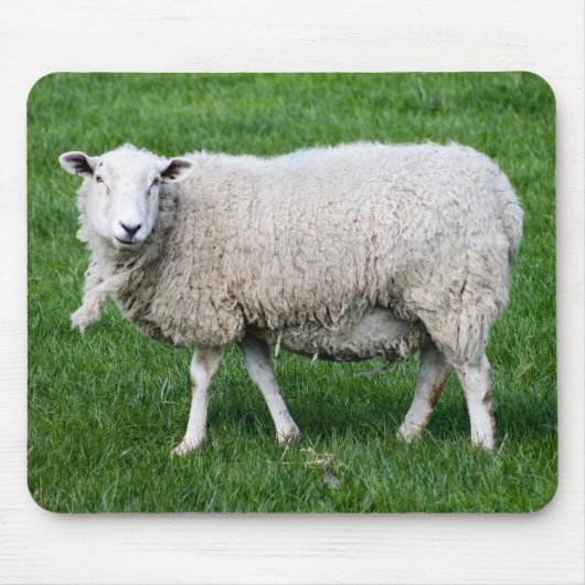 Tapis De Souris Cute Sheep (Devant)