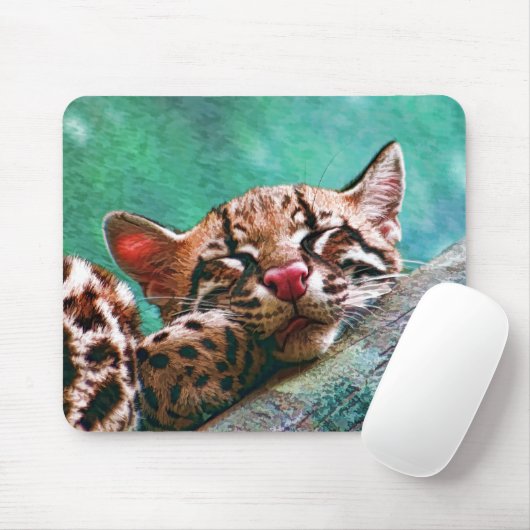 Tapis De Souris Cute Sleeping (Avec souris)
