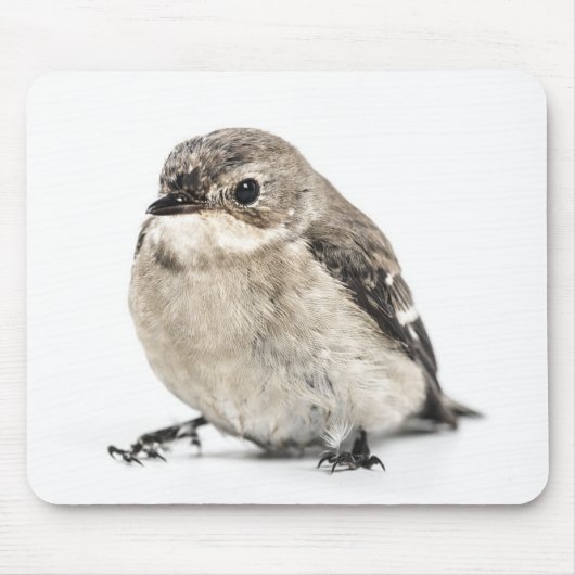 Tapis De Souris Cute Small Garden Bird Photo (Devant)