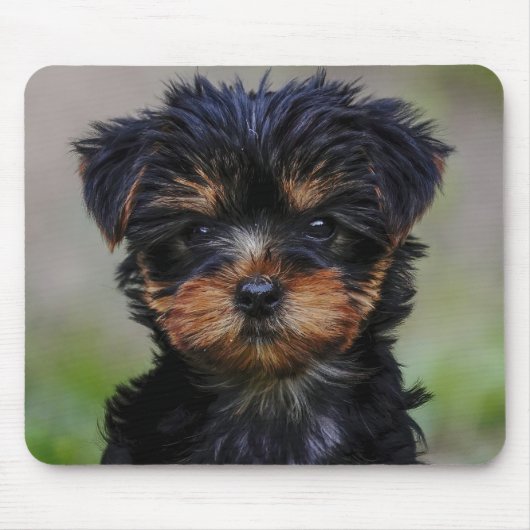Tapis De Souris Cute Yorkie Puppy (Devant)