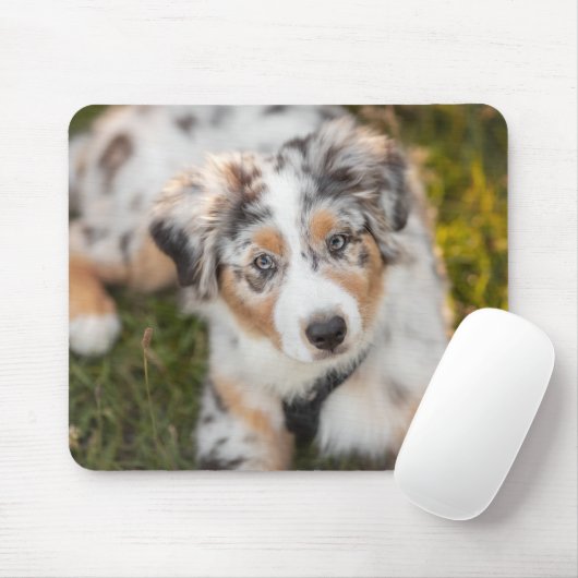 Tapis De Souris Cutest Baby Animals | Australian Shepherd Puppy (Avec souris)