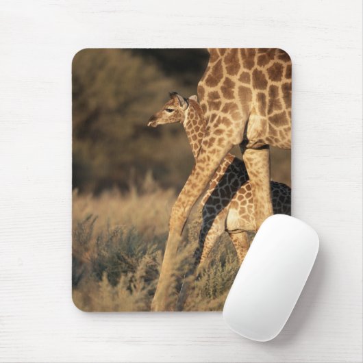 Tapis De Souris Cutest Baby Animals | Baby Giraffe & Parent (Avec souris)