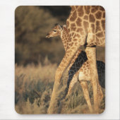 Tapis De Souris Cutest Baby Animals | Baby Giraffe & Parent (Devant)