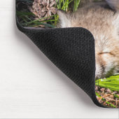 Tapis De Souris Cutest Baby Animals | Baby Red Fox Kits Sleeping (Coin)