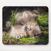 Tapis De Souris Cutest Baby Animals | Baby Red Fox Kits Sleeping (Devant)
