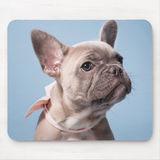 Tapis De Souris Cutest Baby Animals | French Bulldog Pink Bow (Devant)