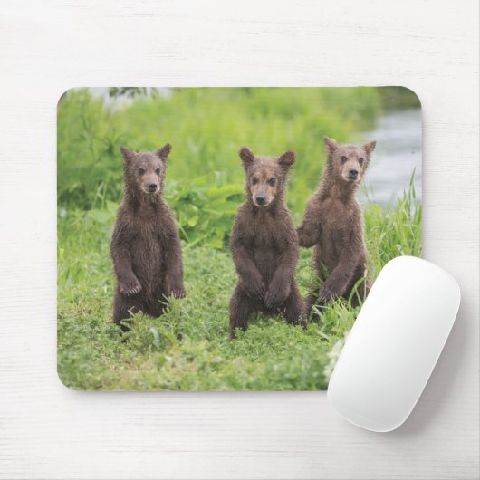 Tapis De Souris Cutest Baby Animals | Kamchatka Brown Bear Cubs (Avec souris)