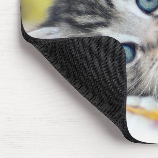 Tapis De Souris Cutest Baby Animals | Kitten With Blue Eyes (Coin)