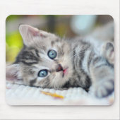 Tapis De Souris Cutest Baby Animals | Kitten With Blue Eyes (Devant)