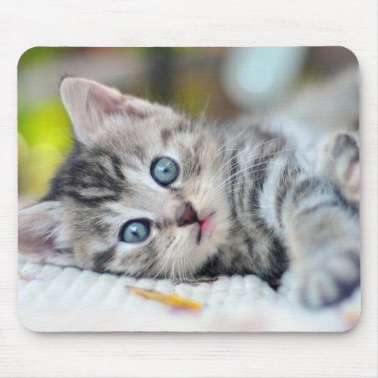 Tapis De Souris Cutest Baby Animals | Kitten With Blue Eyes (Devant)