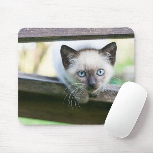 Tapis De Souris Cutest Baby Animals | Siamese Kitten 2 (Avec souris)
