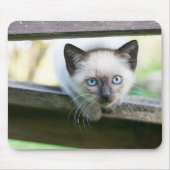 Tapis De Souris Cutest Baby Animals | Siamese Kitten 2 (Devant)