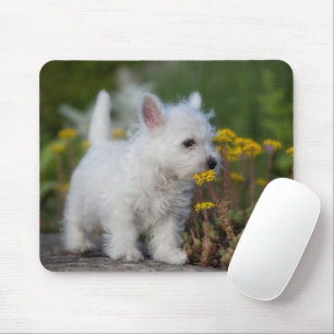 Tapis De Souris Cutest Baby Animals   West Highland White Terrier