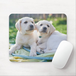 Tapis De Souris Cutest Baby Animals   Yellow Labrador Retrievers