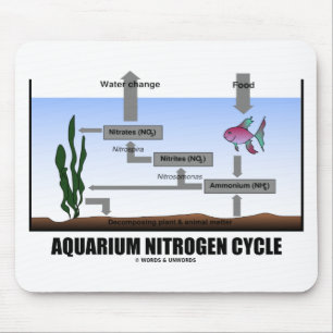 Tapis De Souris Cycle de l'azote en aquarium (Écologie)