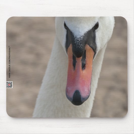 Tapis De Souris Cygne (Devant)