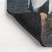 Tapis de souris Cygne (Coin)