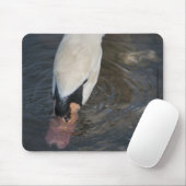 Tapis de souris Cygne (Avec souris)
