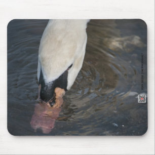 Tapis de souris Cygne