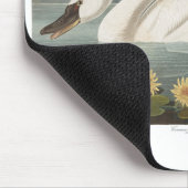 Tapis De Souris cygne audubon cygnes d'eau blanche (Coin)