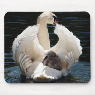 Tapis De Souris cygne bébé cygne blanc
