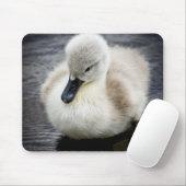 Tapis De Souris Cygne bébé | Cygnet (Avec souris)