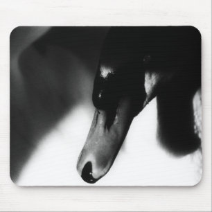 Tapis de souris Cygne Blanc, Photo, Personnalisabl