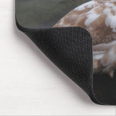 Tapis De Souris Cygne de bébé (Coin)