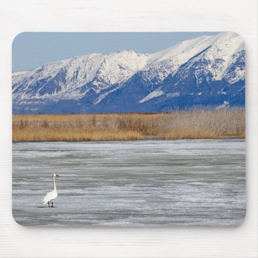 Tapis De Souris Cygne et neige (Devant)