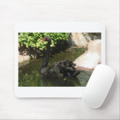 Tapis De Souris Cygne noir (Avec souris)