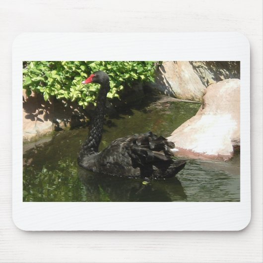 Tapis De Souris Cygne noir (Devant)