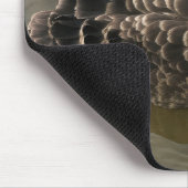 Tapis De Souris Cygne noir (Coin)