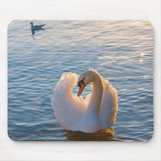 Tapis De Souris cygne, oiseau, animal (Devant)