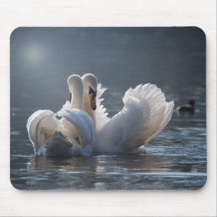 Tapis De Souris cygne, petit, amour