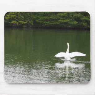 Tapis De Souris Cygne sur le lac Town