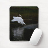 Tapis De Souris Cygne trompette (Avec souris)