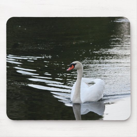 Tapis De Souris Cygne tuberculé (Devant)