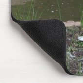 Tapis De Souris Cygnes (Coin)