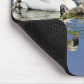 Tapis De Souris Cygnes, Cygnets, Oiseaux (Coin)