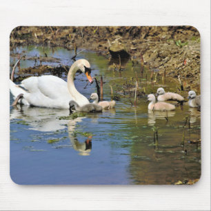 Tapis De Souris Cygnes, Cygnets, Oiseaux