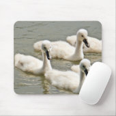 Tapis De Souris Cygnets de cygne nager (Avec souris)