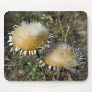 Tapis De Souris Cynara cardunculus